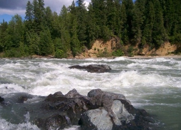 Dry fly fishing at its best, the Quesnel River in the Cariboo